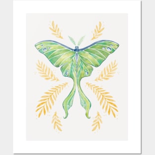 Watercolor Luna Moth Posters and Art